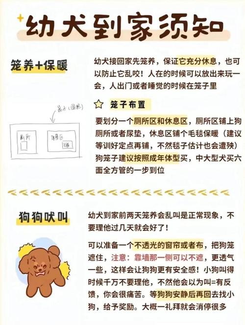 徐州宠物狗怎么养？新手必看5条实用养狗建议！