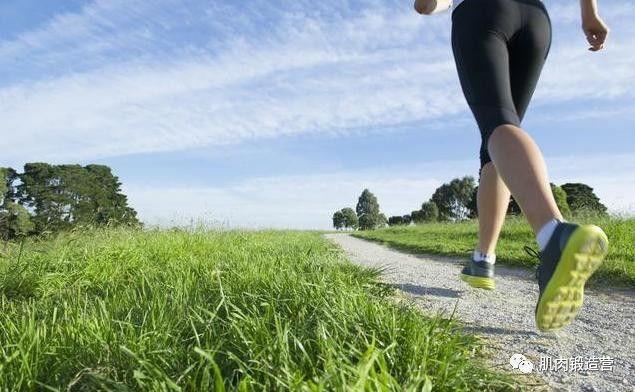 马丁约根森怎么样？5个特点快速带你了解！