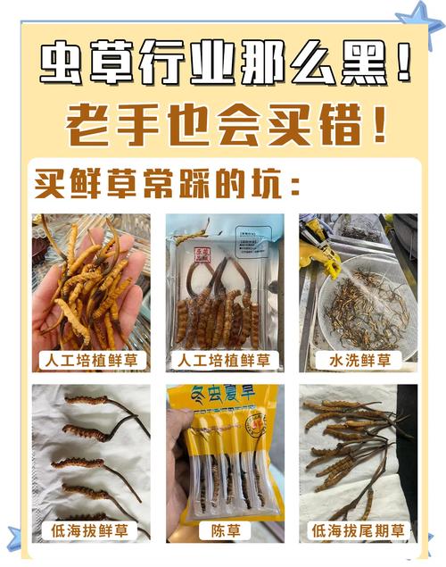 草草草草常见问题解决?专家分享避坑小妙招!