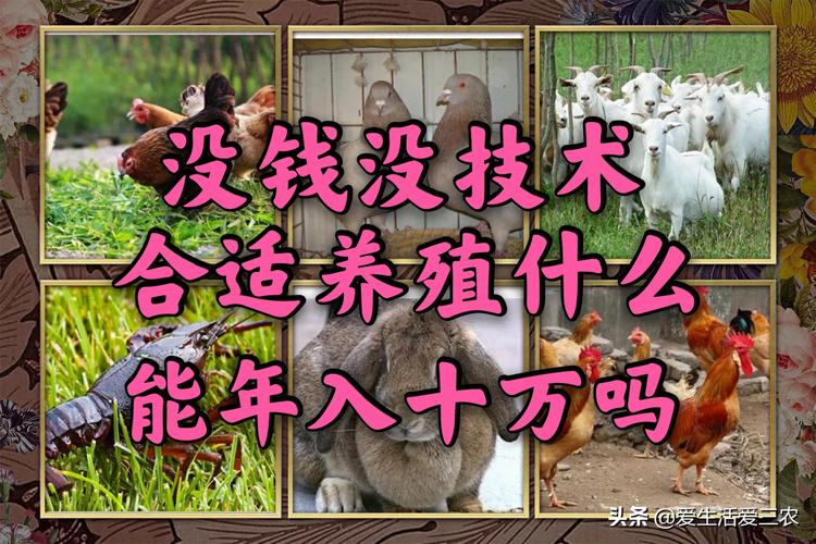 高密度养殖技术能赚钱吗？老农亲测年收入翻倍