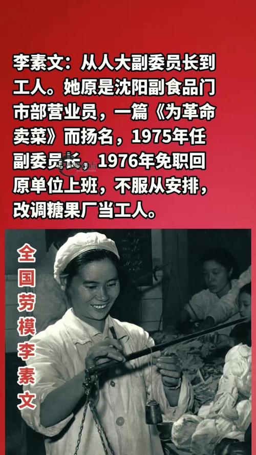 赵宣素是谁?全面解读教你认识他的传奇人生!