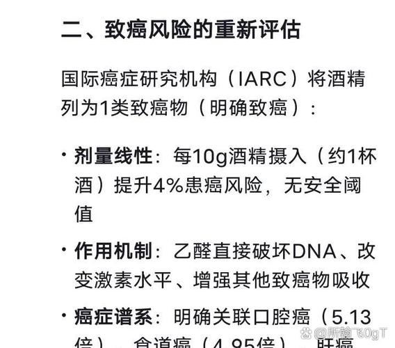 饮酒影响大脑6周科学依据？最新研究全解析！