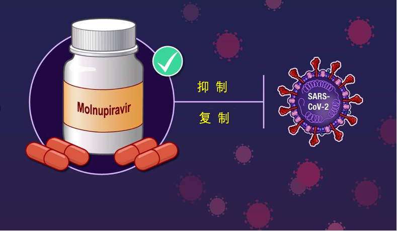 美国新冠药品严重短缺的原因是什么?(揭露三大关键影响因素!)
