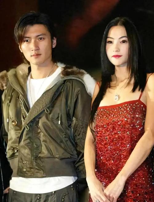 张柏芝和谢霆锋复合是真的吗?揭秘背后真相内幕大曝光