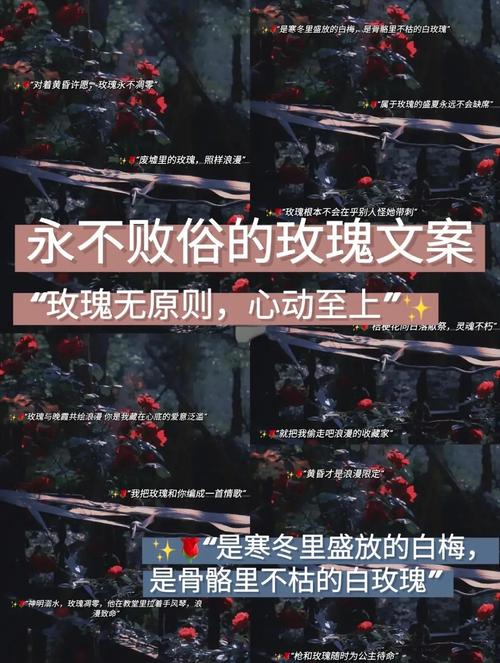 二手玫瑰微博发什么内容好？这些爆款思路超管用