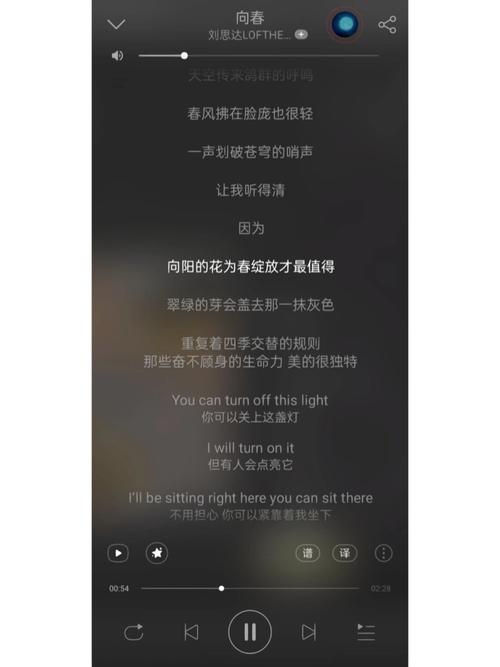 偏见歌词谁写的？歌手创作动机大揭秘背后真相