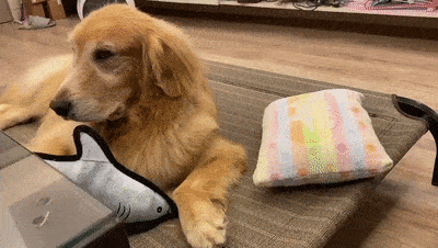 特朗普让记者摘口罩遭拒绝美国民众怎么看？