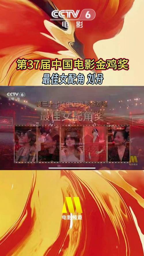 28届金鸡奖幕后的那些故事，这些小花絮太精彩了！