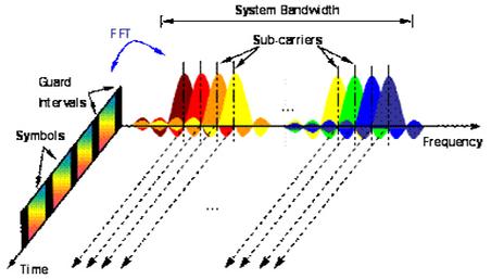 无限猴子定理是什么？5分钟通俗讲解助你轻松理解！