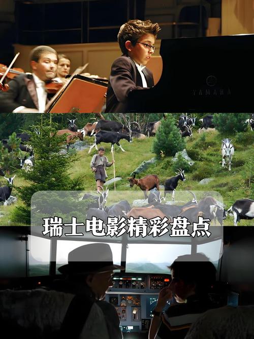 想了解我是瓦尔迪必看电影？这部真实故事必看！