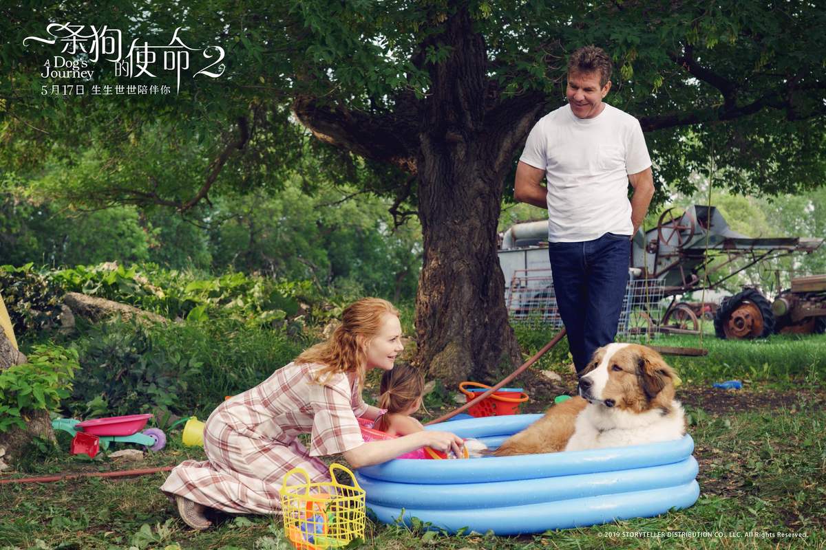 蔷薇纷飞一路向北剧情讲什么？揭秘故事主要精彩看点！