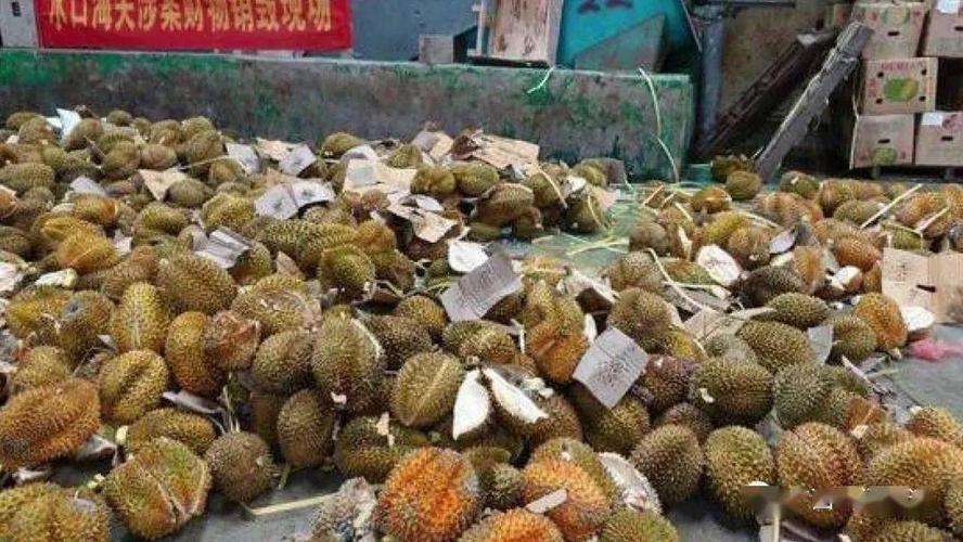 官方如何处置村民哄抢榴莲中毒事件?(具体措施和预防方案)