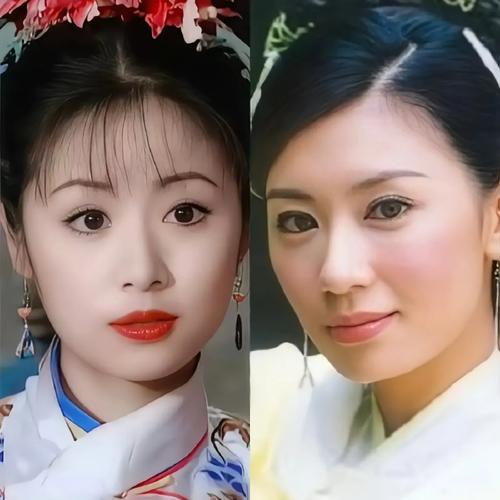 贾静雯和林心如谁更美？(粉丝对比两大女神颜值风格)