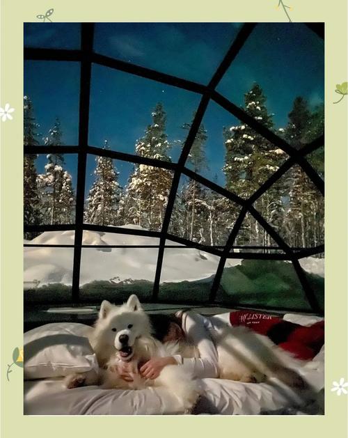 俄罗斯芬兰旅行花多少钱？(省钱预算分享贴士)