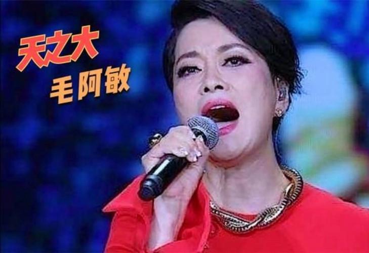 歌声传奇毛阿敏田震为啥看？听天后级经典对决！