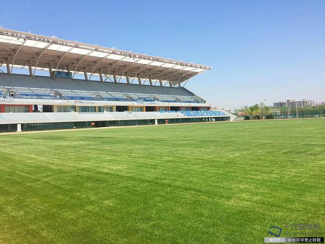 2016汤姆斯杯在哪办的主办城市？(赛事场馆与场地体验指南)