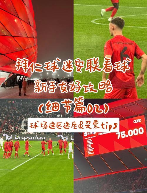 安联球场必听拜仁队歌(比赛日全场高唱点燃激情瞬间)