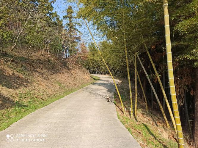 揭秘东望都门信马归怎么这样玩?散步赏景必看攻略!