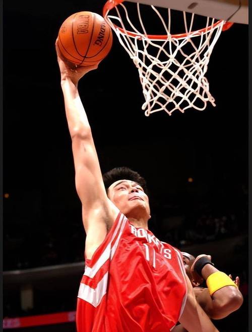 姚明扣加内特经典回顾（重温中国巨人对决狼王震撼瞬间）