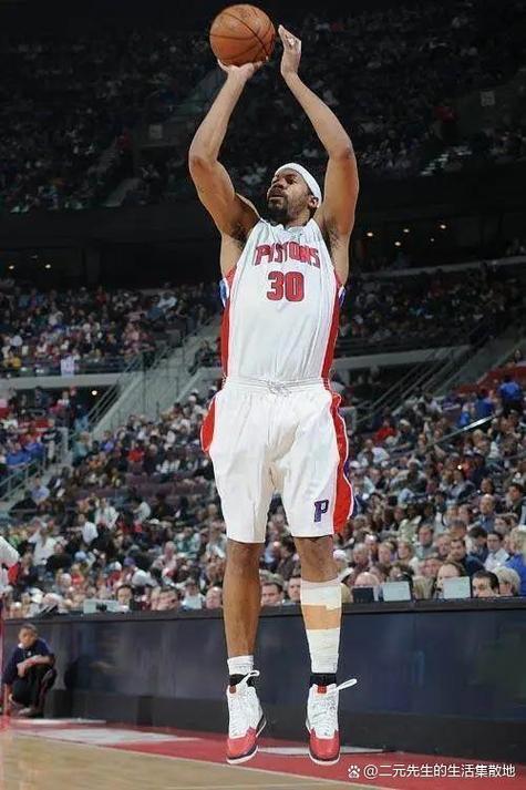 拉希德 华莱士在活塞队多强？回顾2004年总冠军辉煌历程！