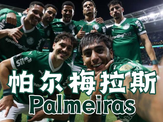 巴甲球队入门知识有哪些？(新球迷必读5点指南)