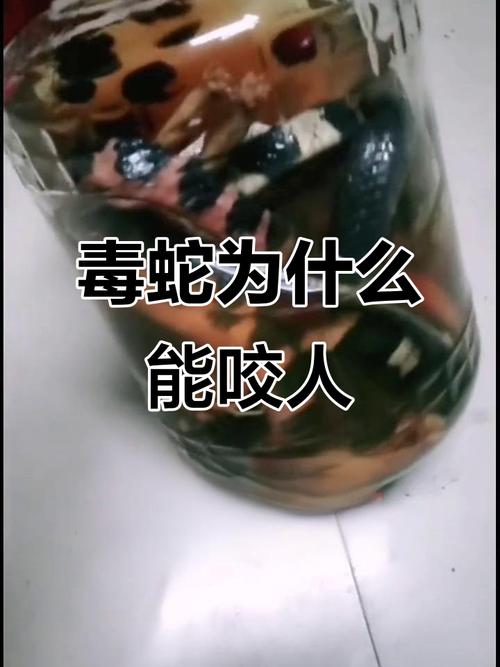 美新冠药品严重短缺原因是什么?专家揭秘三大关键因素!