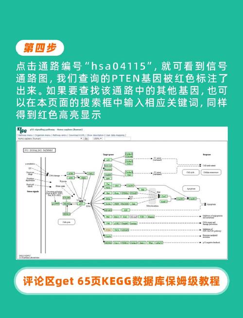 ggwp怎么用(新手必学的5种正确方式分享)