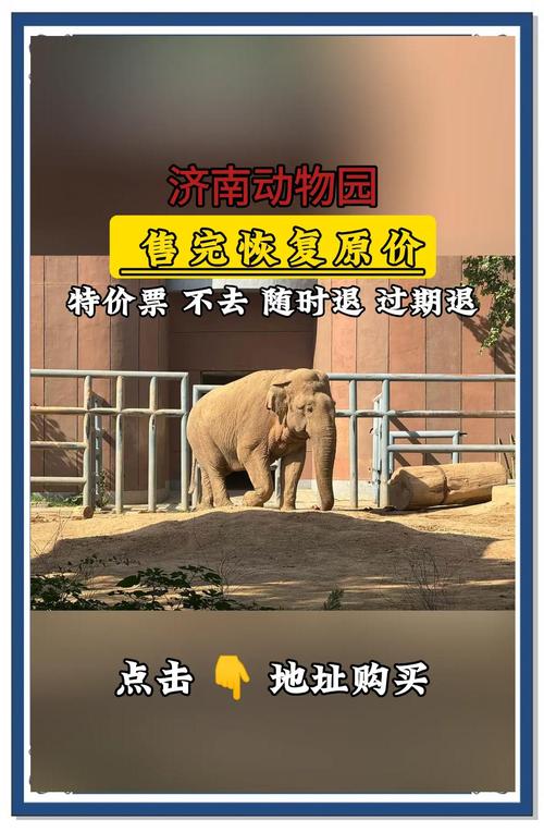 为什么说逛动物园超正经？内行人揭秘3大隐藏价值