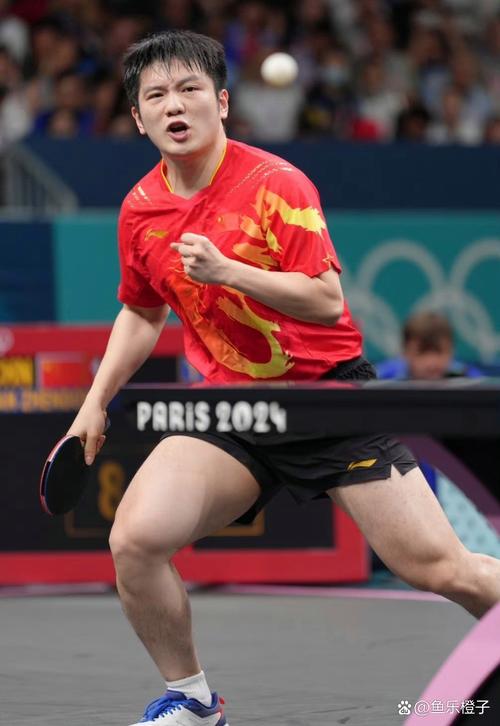 奥运会乒乓球男单怎么比赛？详细步骤轻松入门