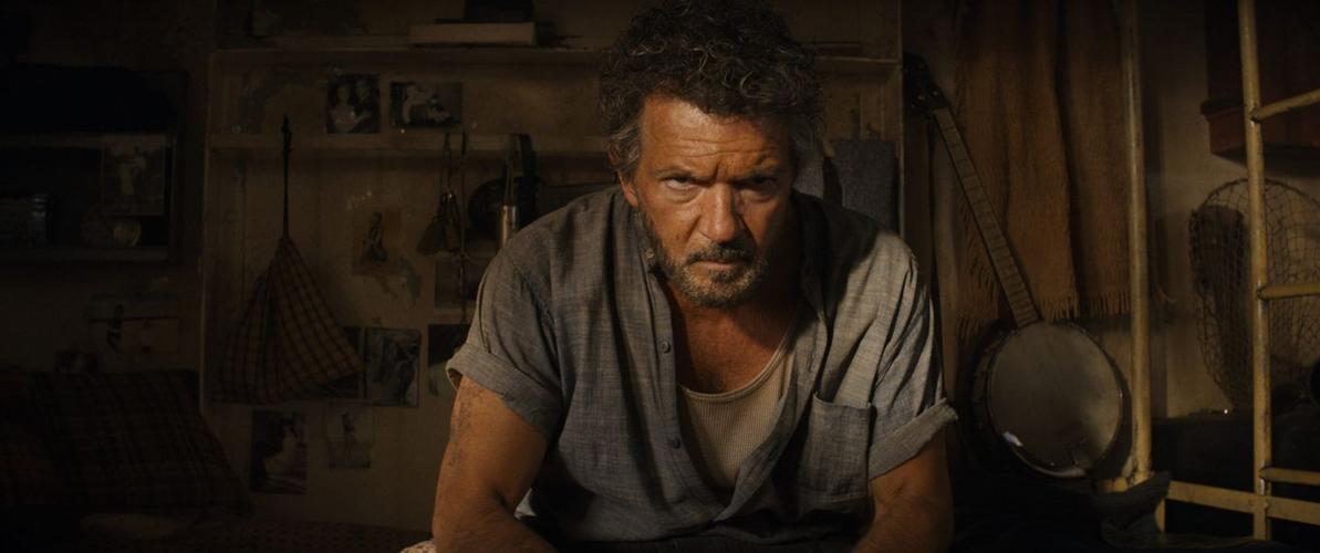 雷纳尔多到底是什么？简单解释让你快速搞懂！