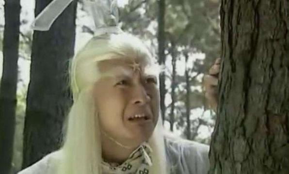 孙兴版杨逍亮点有哪些？观众分享几点不可错过的细节！