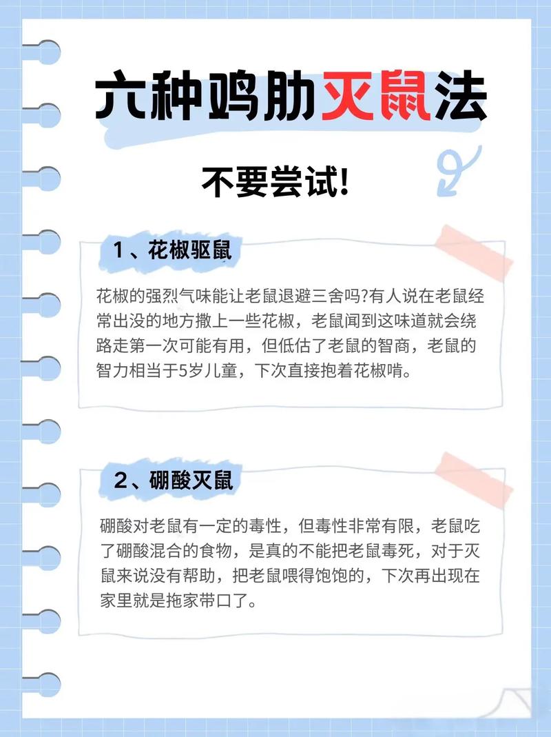 老鼠的麻烦有哪些危害？(警惕4类健康风险避坑)