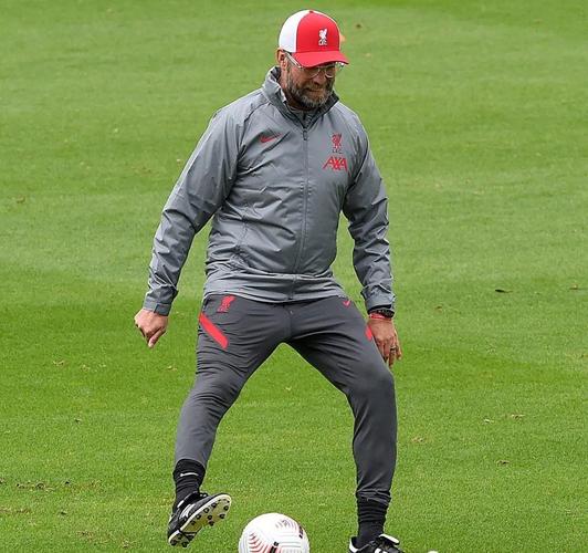 张伯伦数据哪里最准确？推荐5个可靠查询渠道！