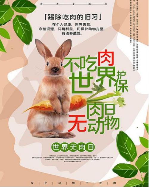 世界无肉日为啥重要(少吃肉能为地球省下多少资源)