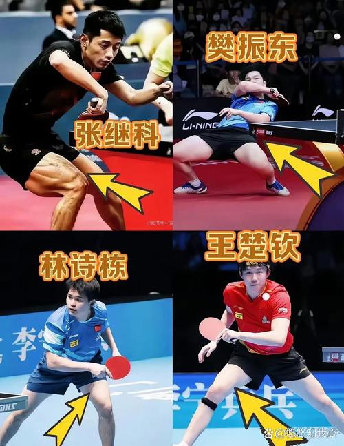张继科林丹起冲突谁先动手？真相曝光引发网友热议！
