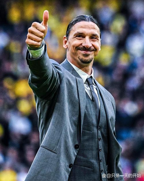 伊布拉希莫维奇自传里说了啥 独家猛料大揭秘