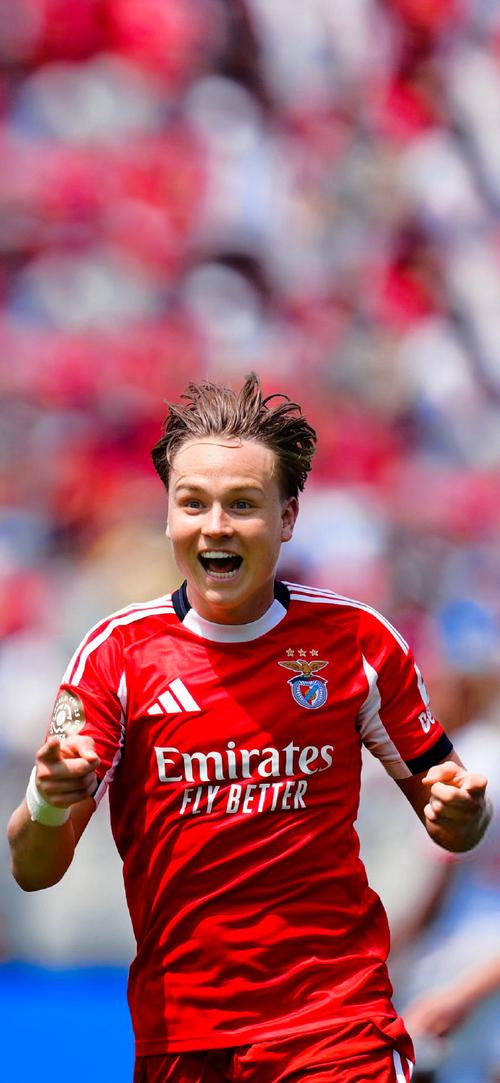 欧洲杯进球最年轻德国球员是谁?揭秘这位天才少年!