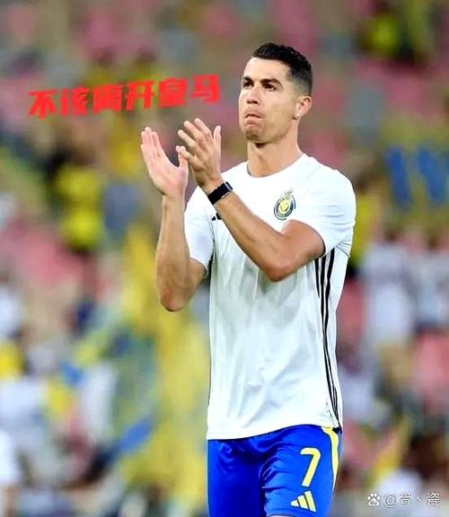 皇马夺冠怎么回事？揭秘关键比赛的转折点和精彩瞬间！