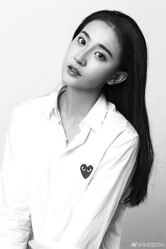 张豆豆微博发帖策略？高效方法助你轻松火！