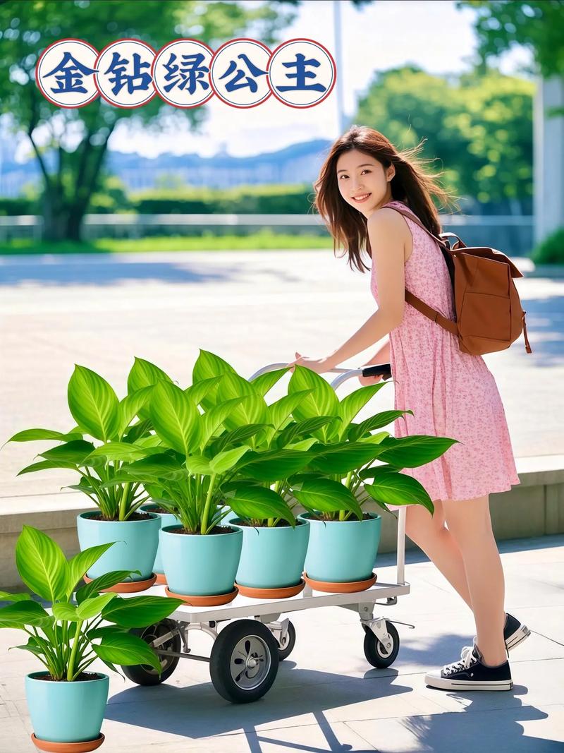 绿地女主角为什么讨人喜欢?3个原因揭秘角色魅力