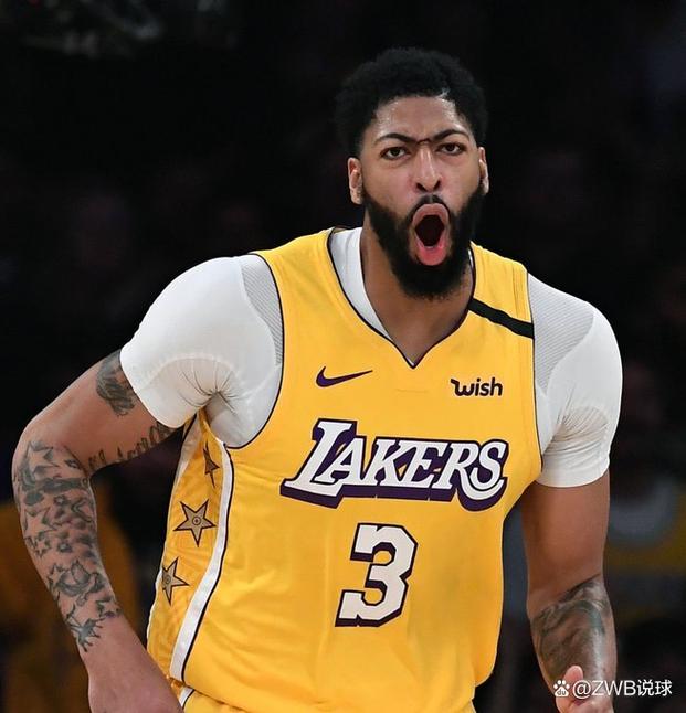 维特斯加盟湖人能否助队夺冠？(预测赛季前景和实力提升)