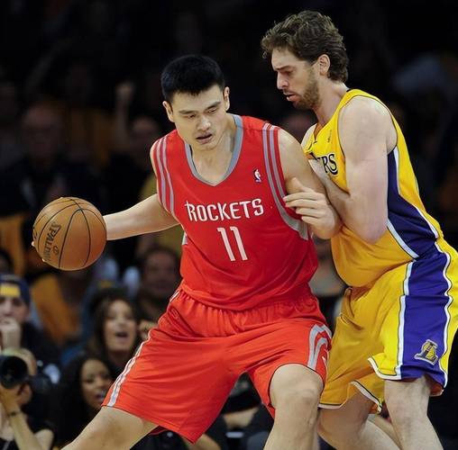 姚明扣加内特经典回顾（重温中国巨人对决狼王震撼瞬间）