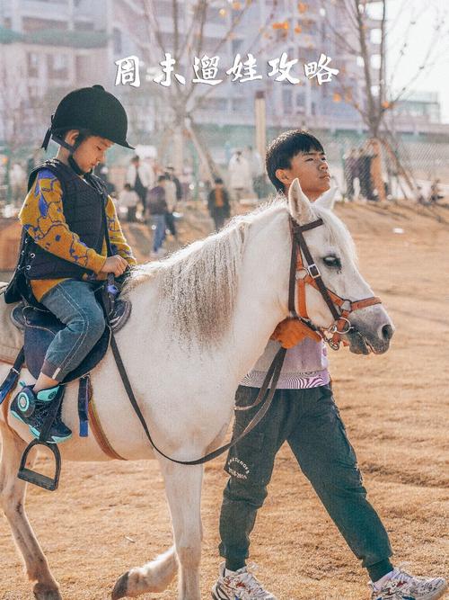 临沂赶集带孩子怎么玩轻松遛娃攻略指南