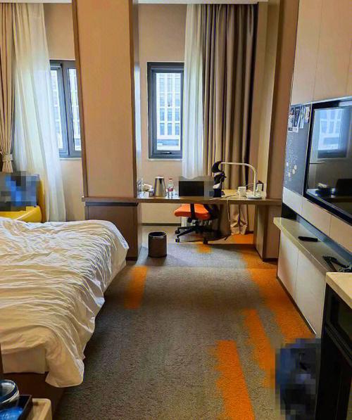 希尔顿巴黎一夜种子如何用？内部员工推荐最省心方法！