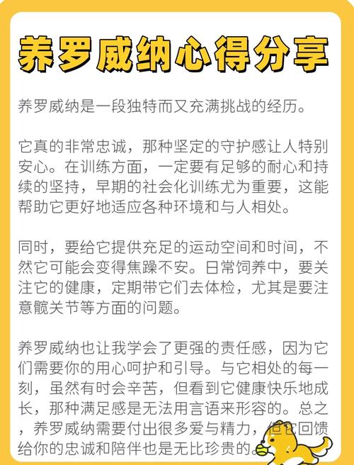 luoben优点有哪些？三大亮点入手理由必看！