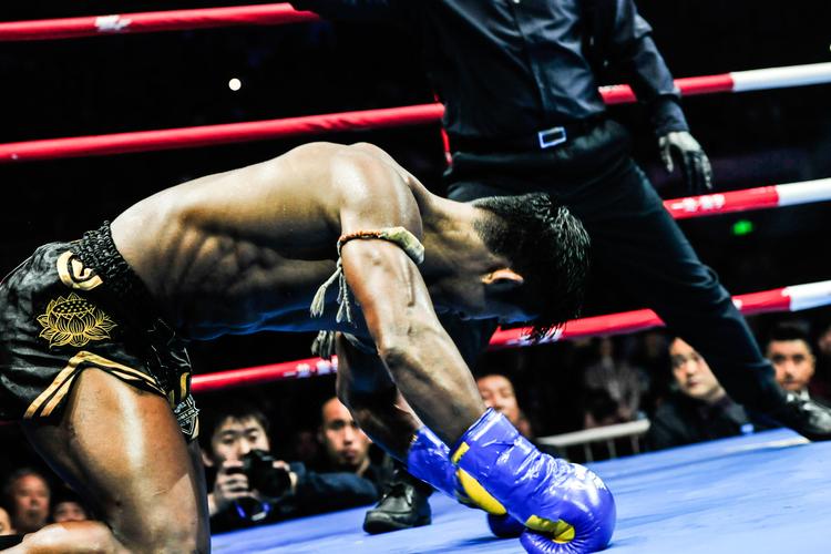 一龙播求裁判判罚有争议?深度解析比赛三大关键点!