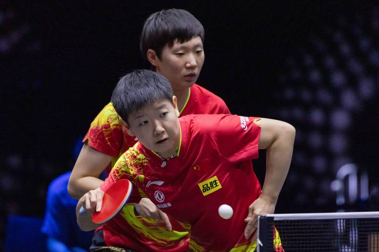 孙可和谁搭档好？对比中外球星组合建议必看