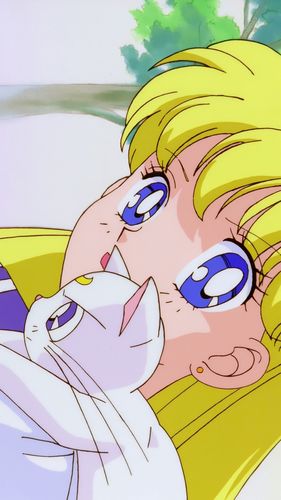 我要代表月亮消灭你是谁说的？角色背景一次讲清楚