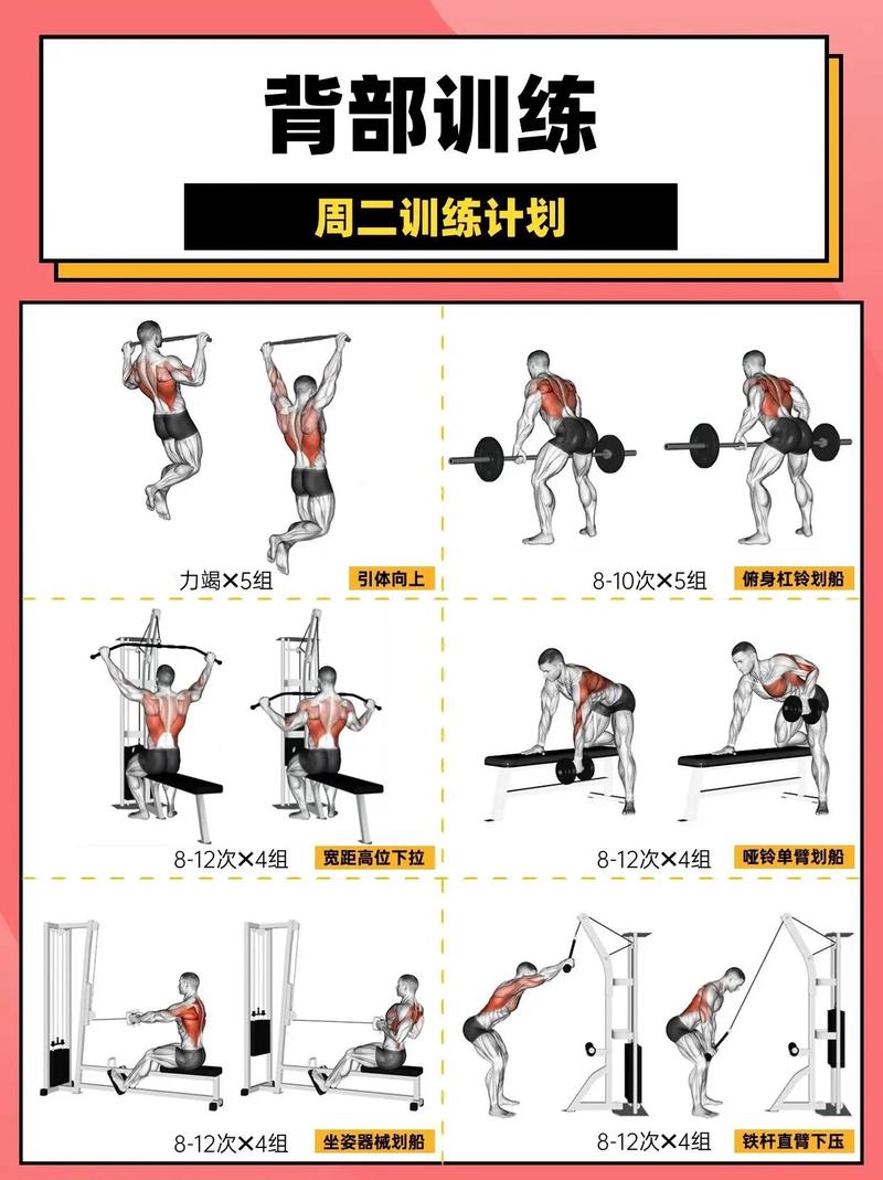 引体向上吧怎么增加次数？循序渐进法轻松突破！