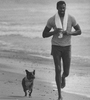 张伯伦数据哪里最准确？推荐5个可靠查询渠道！